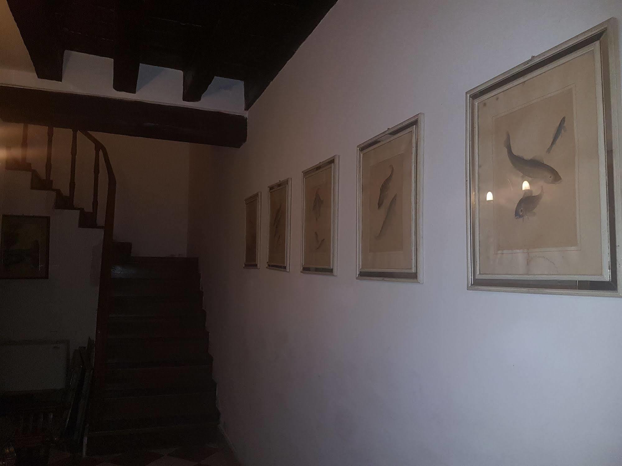 Casa Arte Hotel Venice Exterior photo